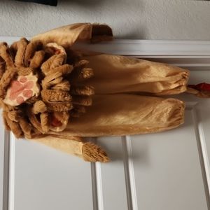 Baby Lion Costume